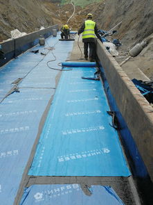 道橋用改性瀝青防水卷材